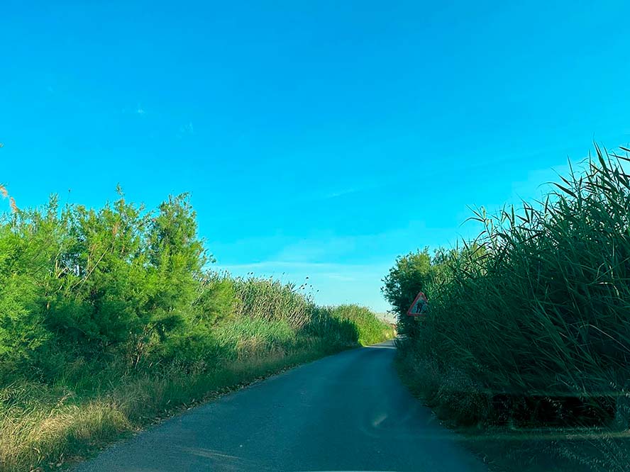 El Consell Local Agrari ejecuta trabajos de mantenimiento en el camino rural del Grau Vell 