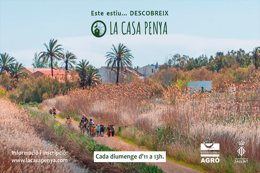 Imagen sin texto alternativo.