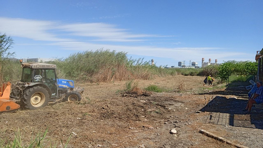 El Consell Agrari actúa en el Grau Vell y el cauce del río Palancia, entre otras intervenciones