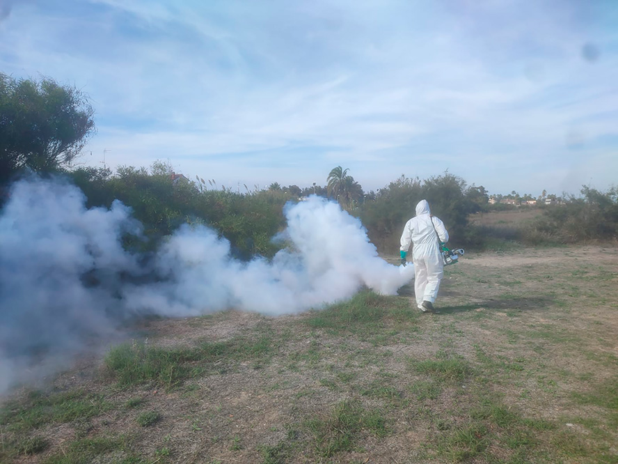 El Ayuntamiento intensifica los tratamientos contra los mosquitos